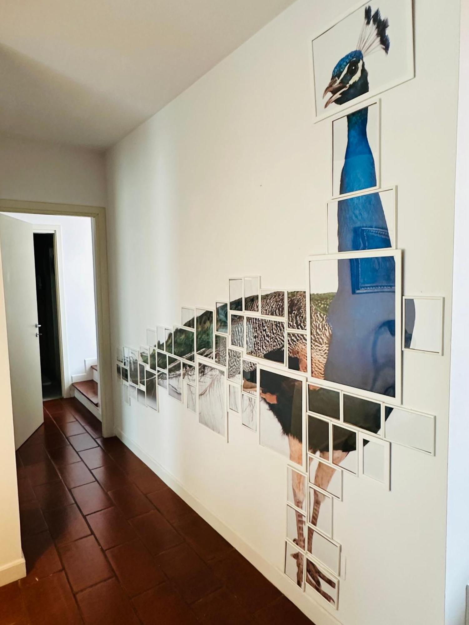 House With Terrace Apartment