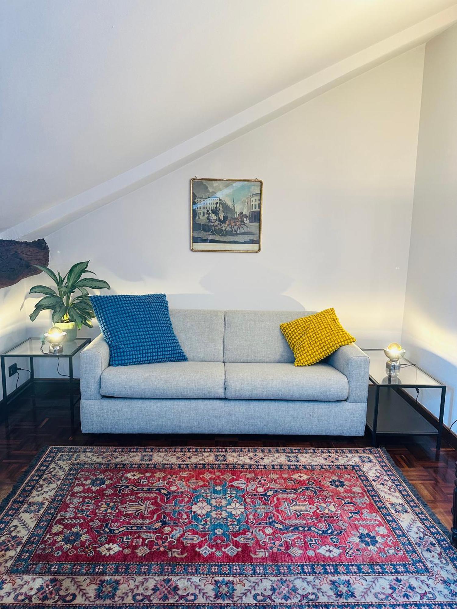 Apartment House With Terrace Turin